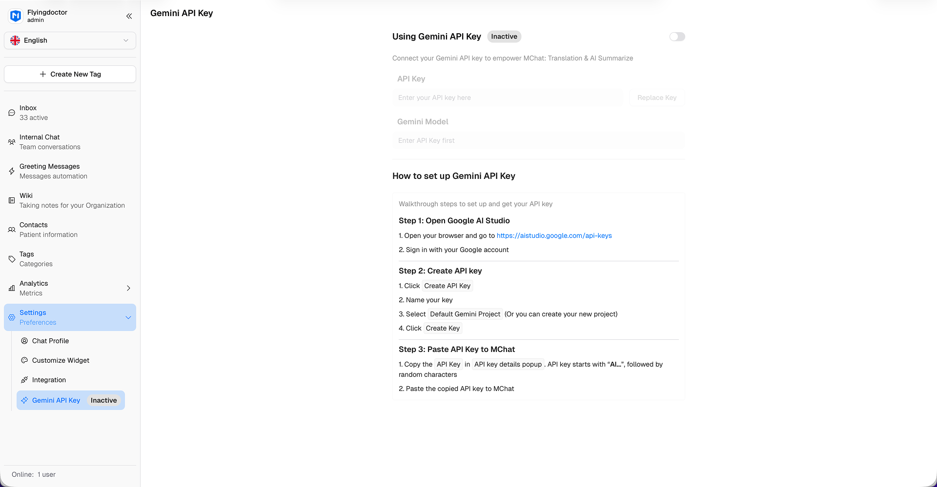 Gemini API Key Settings