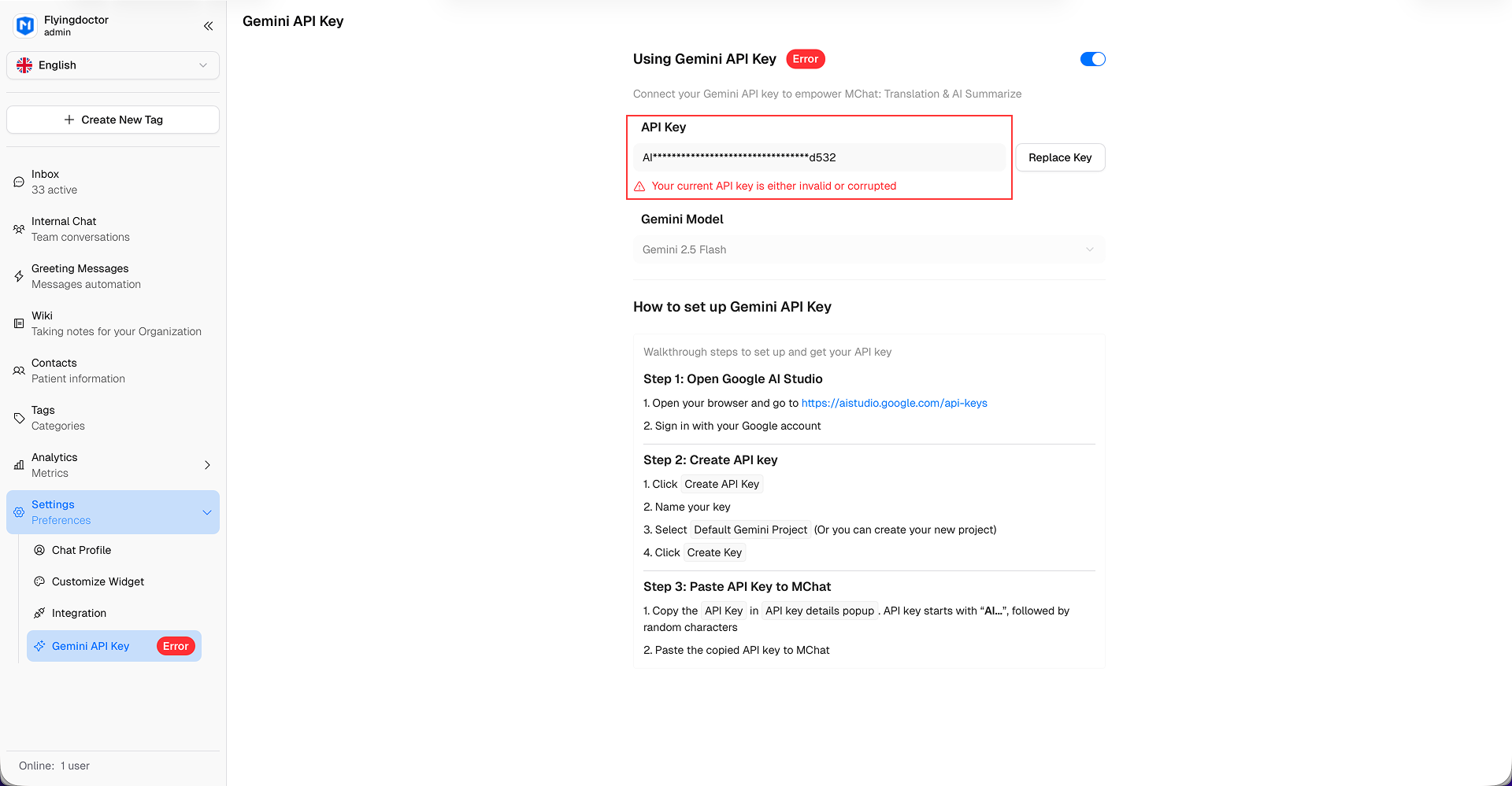 Gemini API Key Error
